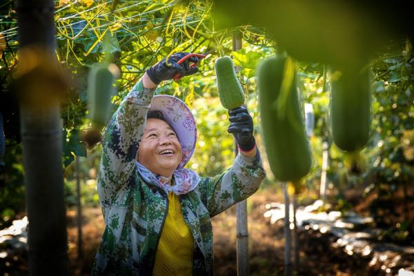 小王村一隅。人民网记者 林盈摄