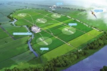 走进江苏昆山陆家镇，感受耕种管收全程自动作业 3840亩农田拉满“科技范”